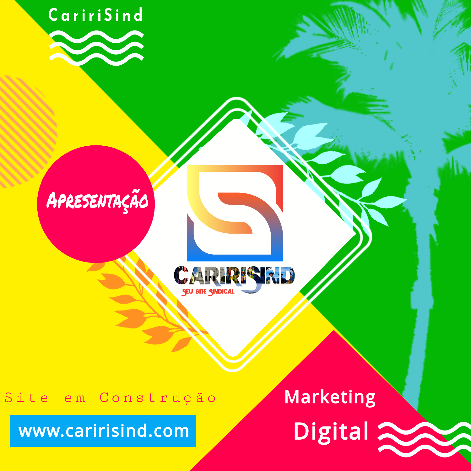 Conheça o CaririSind a Solução em Marketing Digital